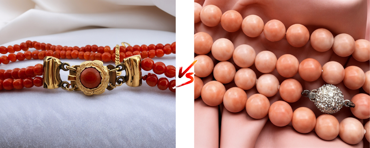 porovnání mezi královským a andělská kůže korálem